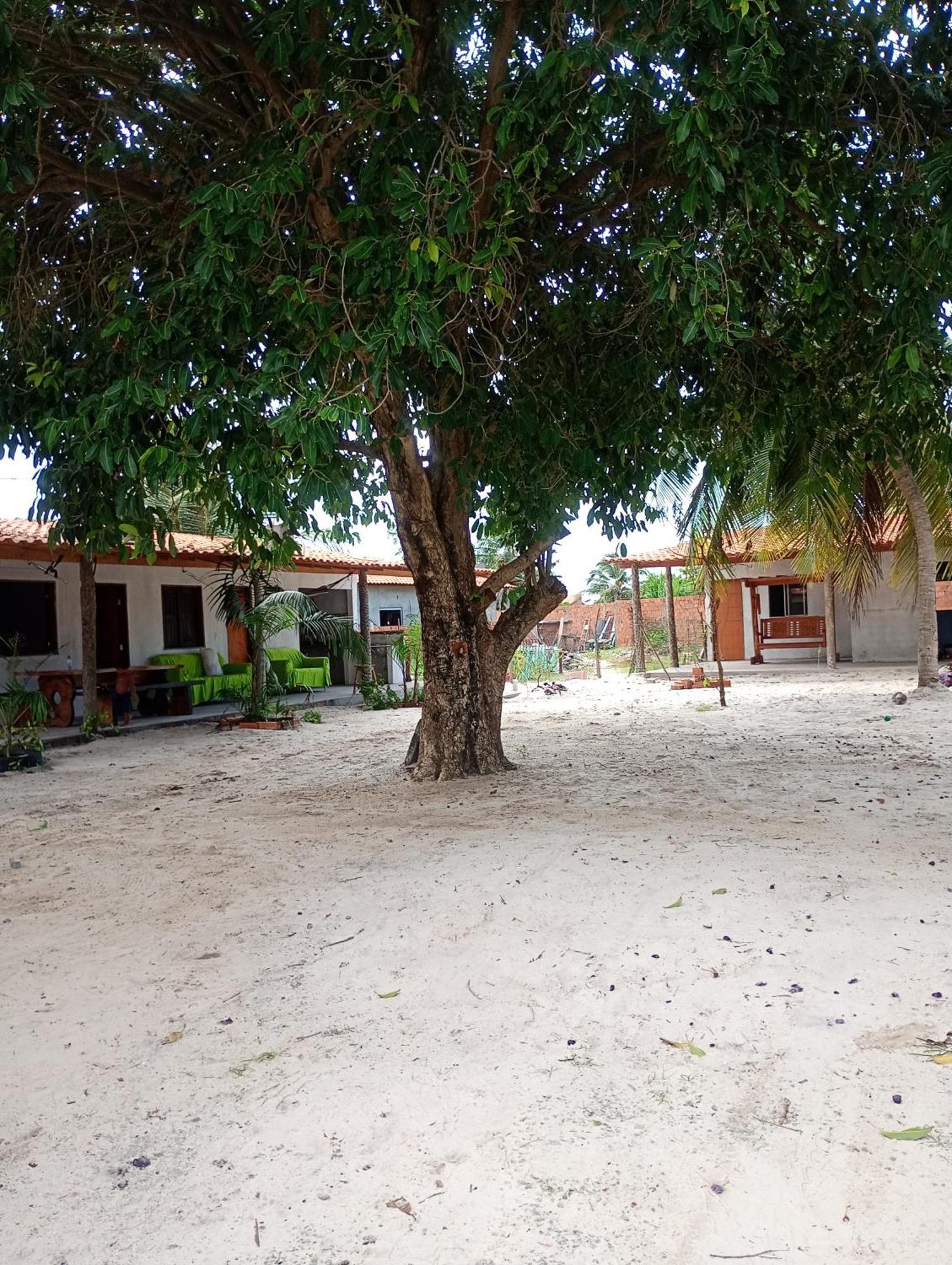 Pousada Shalom E Hostel Holly Land Santo Amaro do Maranhao Екстер'єр фото